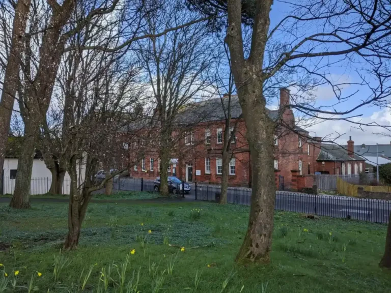 Red-brick terrace behind trees, with daffodils in the grass